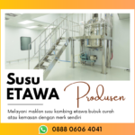 Pabrik Susu Kambing Etawa Asli Bpk.firman Hub: 0888-0606-4041 Pandeglang Banten