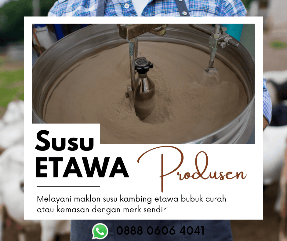 Produsen susu kambing etawa 0888 0606 4041