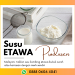 Produsen Susu Kambing Etawa Original Bpk.firman Hubungi: 0888 0606 4041 Wonogiri Jawa Tengah