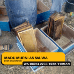 08954 2233 1922 Madu As Salwa: Madu Hutan dan Ternak Asli, Plus Madu Hitam, Stamina Pria, ASI Booster, dan Angkak untuk Kesehatan Optimal , 24111 Kota Sigli Pidie Nanggroe Aceh Darussalam