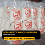 Bpk. Firman HP 0856-9325-4873 Distributor Beras Mentik Wangi, Karanggadung 54382 Petanahan Kebumen Jawa Tengah
